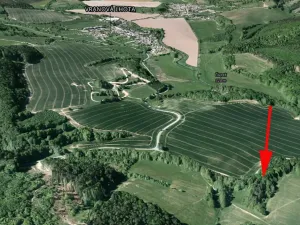 Prodej podílu lesa, Vranová Lhota, 1177 m2