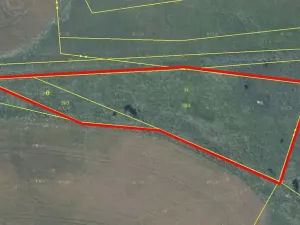 Prodej louky, Česká Lípa, 3703 m2