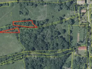 Prodej louky, Kozly, 1399 m2