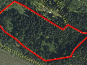 Prodej lesa, Brtnice, 21827 m2