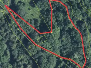 Prodej lesa, Trutnov, 4983 m2