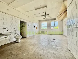 Prodej ubytování, Želetava, Pražská, 1135 m2