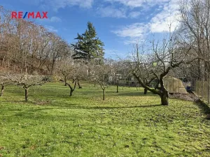 Prodej zahrady, Kolín, 482 m2