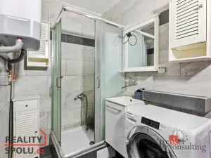 Prodej bytu 2+1, Mladá Boleslav - Mladá Boleslav II, Palackého, 46 m2