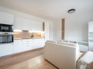 Pronájem bytu 3+kk, Brno - Židenice, Škrochova, 64 m2