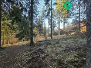 Prodej lesa, Vsetín, Semetín, 96946 m2