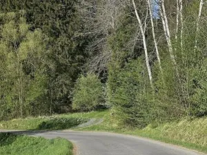Prodej lesa, Vsetín, Semetín, 96946 m2