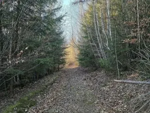 Prodej lesa, Vsetín, Semetín, 96946 m2