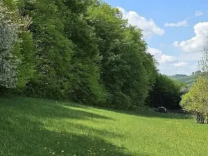 Prodej lesa, Vsetín, Semetín, 96946 m2