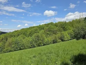 Prodej lesa, Vsetín, Semetín, 96946 m2