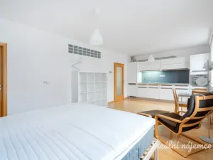 Pronájem bytu 1+kk, Praha - Vinohrady, Lucemburská, 40 m2
