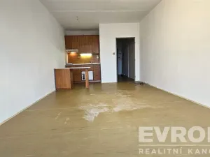 Prodej bytu 1+kk, Pardubice - Ohrazenice, Trnovská, 34 m2