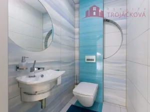 Prodej rodinného domu, Žermanice, 357 m2