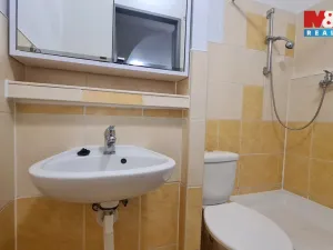 Pronájem bytu 1+kk, Brno - Bohunice, Moldavská, 15 m2