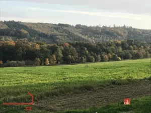 Prodej pozemku pro bydlení, Čavisov, 927 m2