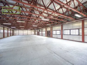 Pronájem obchodního prostoru, Český Brod, Kollárova, 700 m2