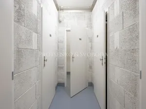 Prodej bytu 3+kk, Praha - Žižkov, Šrámkové, 112 m2