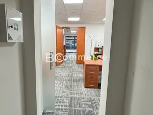 Pronájem kanceláře, Brno, U Leskavy, 92 m2