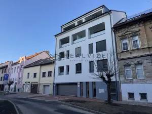 Pronájem bytu 1+kk, České Budějovice, Puklicova, 38 m2