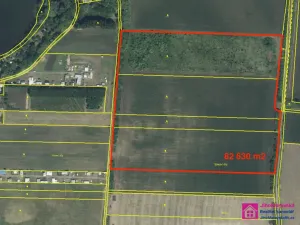 Prodej sadu/vinice, Přítluky - Nové Mlýny, 17804 m2