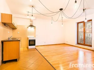 Pronájem bytu 2+kk, Brno, Starobrněnská, 50 m2