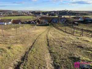 Prodej sadu/vinice, Bořetice, 2567 m2