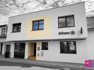 Pronájem obchodního prostoru, Hustopeče, Brněnská, 12 m2