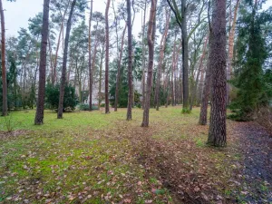 Prodej pozemku pro bydlení, Hradištko, Kersko, 2800 m2