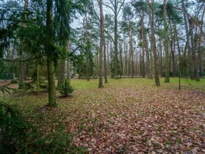 Prodej pozemku pro bydlení, Hradištko, Kersko, 2800 m2