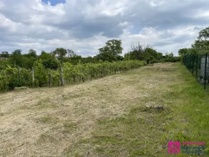 Prodej zahrady, Mikulov, Nová, 935 m2