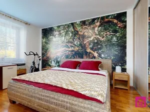 Prodej bytu 4+1, Hodonín, Sv. Čecha, 105 m2