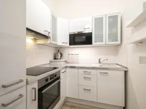 Pronájem bytu 2+1, Praha - Vinohrady, Písecká, 52 m2
