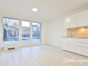 Pronájem bytu 1+kk, Brno - Komárov, Dornych, 30 m2