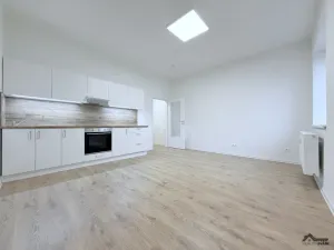 Pronájem bytu 1+kk, Ostrava, Palackého, 27 m2