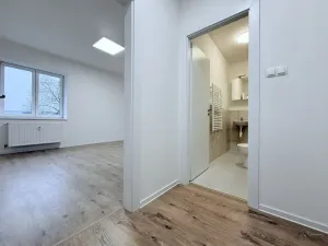 Pronájem bytu 1+kk, Ostrava, Palackého, 27 m2