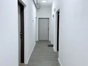 Pronájem bytu 1+kk, Ostrava, Palackého, 27 m2