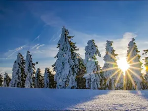 Prodej bytu 1+kk, Loučná pod Klínovcem, 35 m2