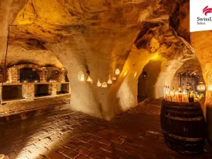 Prodej ubytování, Nový Šaldorf-Sedlešovice, Na Staré cestě, 176 m2