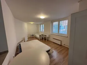 Pronájem bytu 1+1, Praha - Nusle, Družstevní, 36 m2