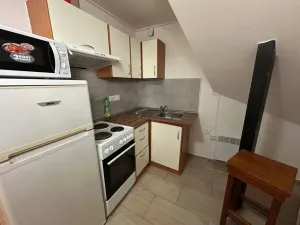 Pronájem bytu 1+1, Praha - Nusle, Družstevní, 36 m2