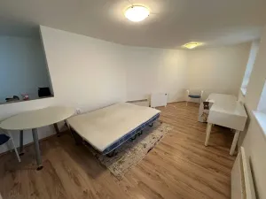 Pronájem bytu 1+1, Praha - Nusle, Družstevní, 36 m2