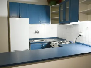 Pronájem bytu 2+kk, Praha - Nusle, Družstevní, 45 m2