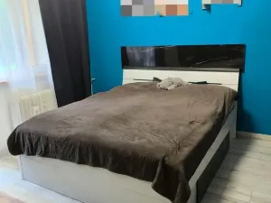 Prodej bytu 3+1, Uherský Brod, Obchodní, 70 m2