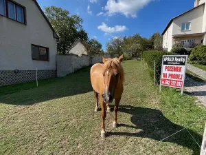 Prodej pozemku pro bydlení, Pašovice, 1279 m2