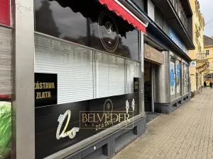 Pronájem obchodního prostoru, Teplice, Masarykova třída, 50 m2