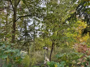 Pronájem chaty, Kamýk nad Vltavou, 50 m2