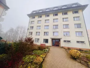 Prodej bytu 2+1, Žďár nad Sázavou, Purkyňova, 54 m2