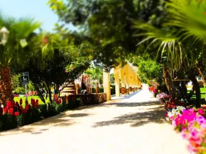 Prodej bytu 3+1, Trikomo, Kypr, 120 m2