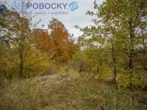 Prodej pozemku pro bydlení, Baliny, 1962 m2