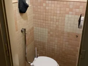 Prodej bytu 3+1, Praha - Nové Město, Ve Smečkách, 75 m2